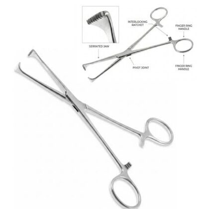 Allis Forceps